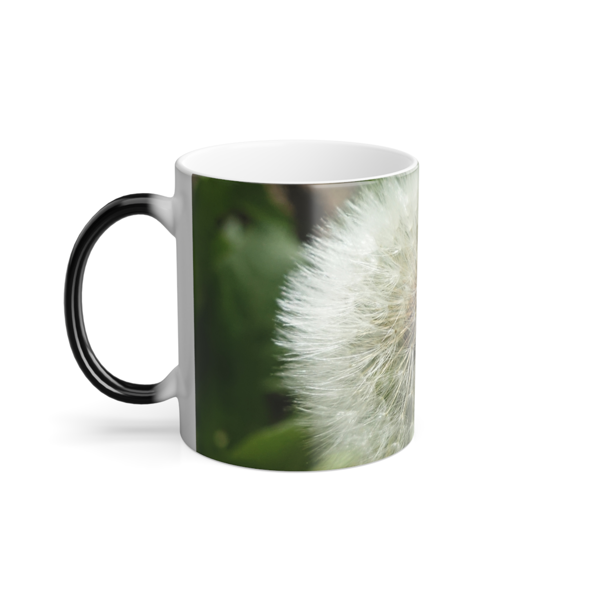 10657653476377671401_2048.jpeg Color-Changing Dandelion Mug — 11oz Heat Reveal Coffee Cup - Image 4